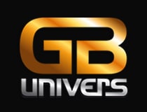 GB UNIVERS| Agencja ochrony osób i mienia